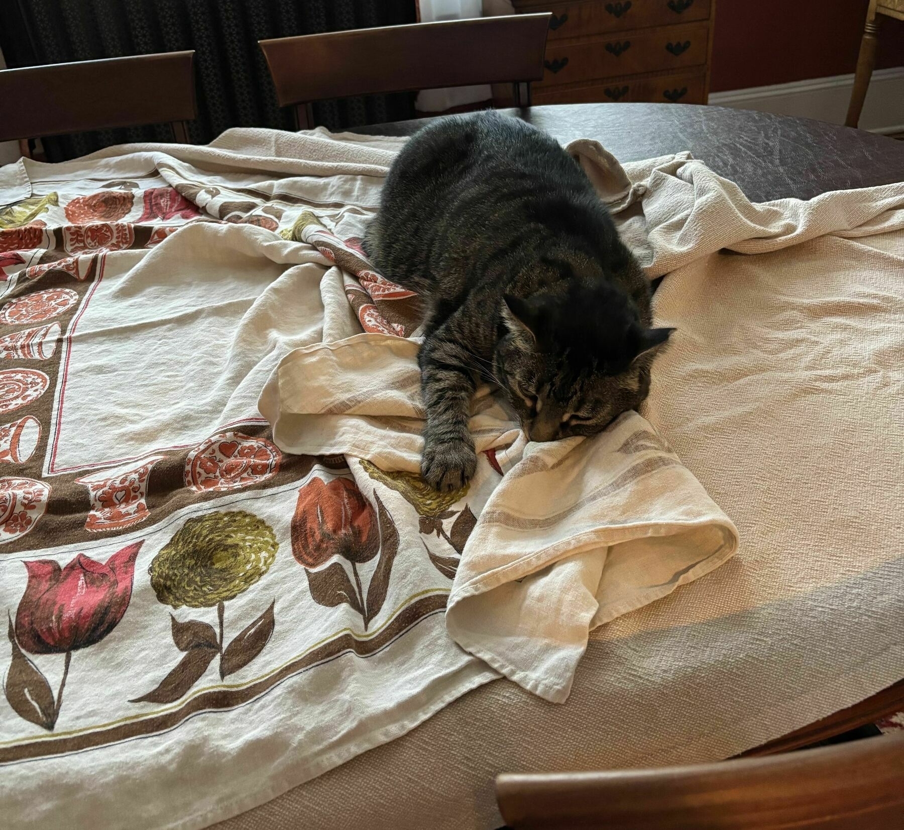 cat lying possessively on top of a tablecloth that the cat has bunched up under himself